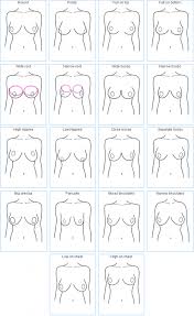 Breast Shapes 627x10241 La Bella Coppia Lingerie