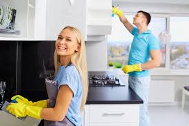 lemon blossom cleaning services