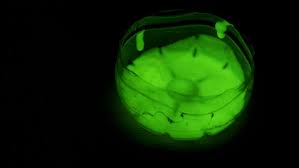 How To Make Glow In The Dark Paint 12