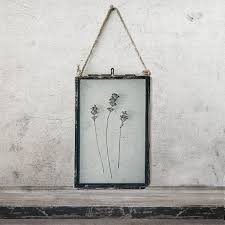 Dried Lavender In Glass Hanging Frame