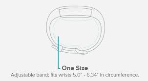 Fitbit Ace Classic Accessory Band