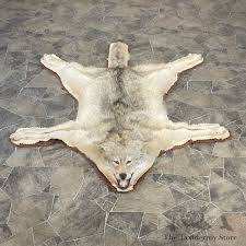coyote full rug mount 27862