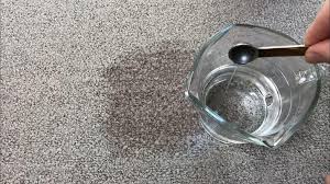 homemade carpet stain remover