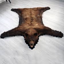 5 feet 6 inches 168 cm brown bear rug