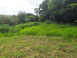 O terreno é localizado na estrada do armarinho, na zona sul de londrina. Rural Chacara Vale Das Cigarras Santa Barbara D Oeste R 375 000 00 Cod 2562