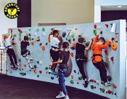Multi Colors Kids Room Climbing Wall