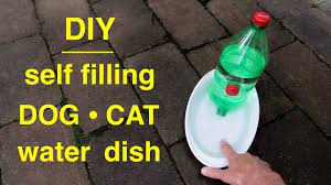 cat self filling water dish