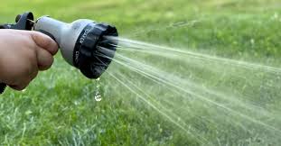 6 ways to conserve water outdoors nwi