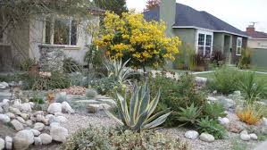 Your Lawn To Drought Tolerant Native Plants