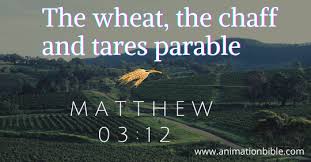 the wheat the chaff and tares parable