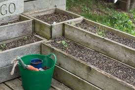 How To Recharge Soil In Containers To
