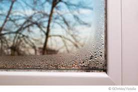 Schimmel am Fenster - Ursachen, wie entfernen, gute Hilfe | Schimmelpilz  Fachzentrum