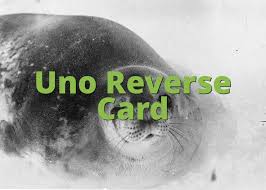 Maybe you would like to learn more about one of these? Uno Reverse Card What Does Uno Reverse Card Mean Slang Org