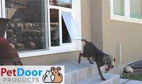 Pet Doors For Extra Large Dogs Large