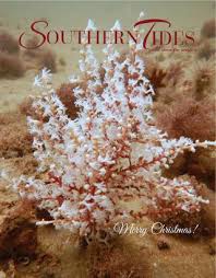 Southern Tides December 2017 By Southern Tides Magazine Issuu