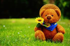 teddy bear with sunflower sitting