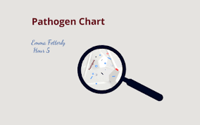 Pathogen Chart By Emma Fetterly On Prezi