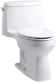 The Best Kohler Toilet Reviews Homeaddons