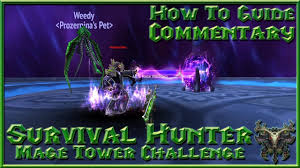 Survival Hunter Mage Tower Challenge Archmage Xylem Ez