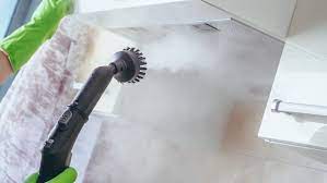 steam cleaning in hawthorn
