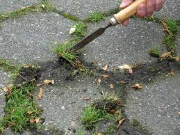 Permanently Kill Weeds On Block Paving