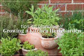 Growing A Kitchen Herb Garden