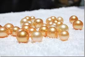 south sea golden pearl of palawan