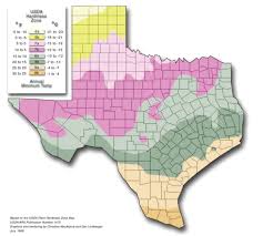 Texas Vegetable Planting Calendar