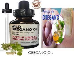 oregano oil organic fights candidiasis