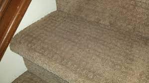 carpet cleaning langenwalter