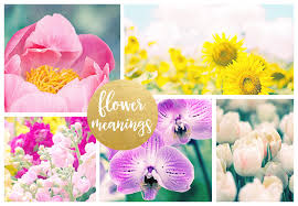 flower meanings and symbolism ftd com