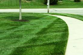 Lawn Mowing Services Lawrence Ks Mowing Company In