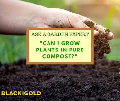 can i grow plants in pure compost