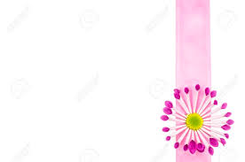 Empty Postcard Background With Pink Flower And Pink Ribbon Stock