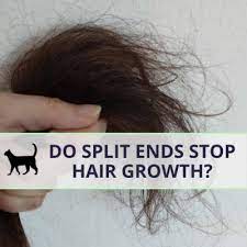 do hair with split ends ever grow