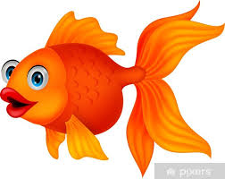 sticker cute golden fish cartoon