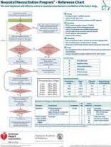 Neonatal Resuscitation Program Reference Chart American