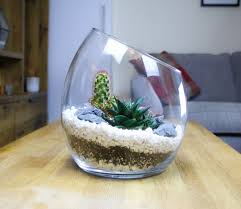 Large Angled Glass Terrarium With