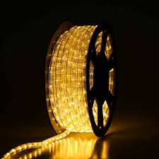 agn 100ft rope lights outdoor