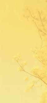 yellow blossom tree aesthetic wallpaper
