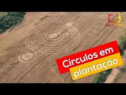 Círculos aparecem em plantação de trigo no interior de Entre Rios - YouTube