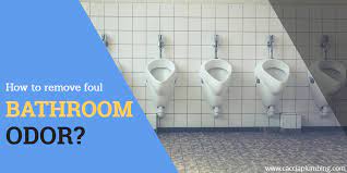 how to remove foul bathroom odor