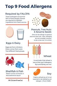top 8 allergen free snacks savory