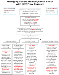 54 Conclusive Hypovolemic Shock Pathophysiology Diagram