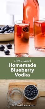 homemade blueberry vodka this is to