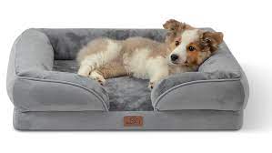 best dog sofa beds fit for a four