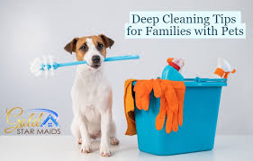 5 deep cleaning tips for families with