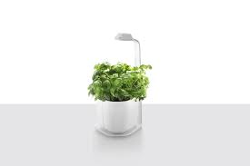 genie indoor herb garden planter by the