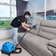 upholstery cleaning hygiene man