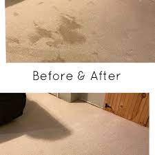 carpet cleaning near plymouth ma 02360